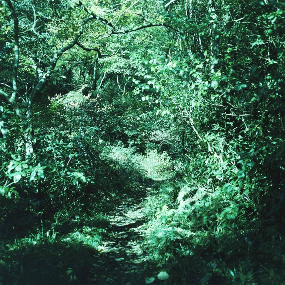 琹の葉: Amazon.sg: Music